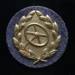 RARE Original WWII German DRIVERâ€™S PROFICIENCY BADGE IN GOLD Certified