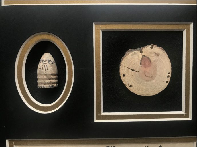 Display with bullet casing and witness wood from Gettysburg