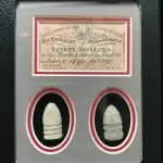 Authentic Confederate Bond Note And Civil War Bullets Display In Collectorâ€™s Glass Case